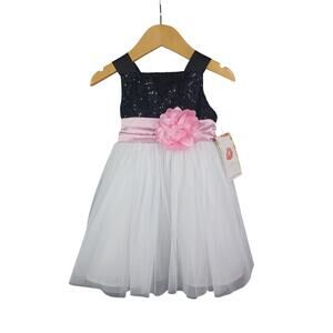 Sweet Heart Rose Sequin Tulle Ballerina Special Occasion Dress size 2T Princess
